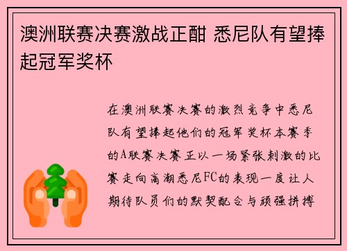 澳洲联赛决赛激战正酣 悉尼队有望捧起冠军奖杯