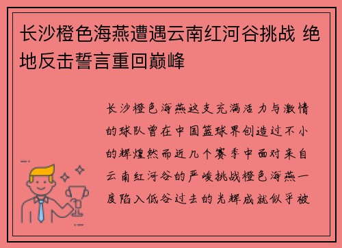 长沙橙色海燕遭遇云南红河谷挑战 绝地反击誓言重回巅峰